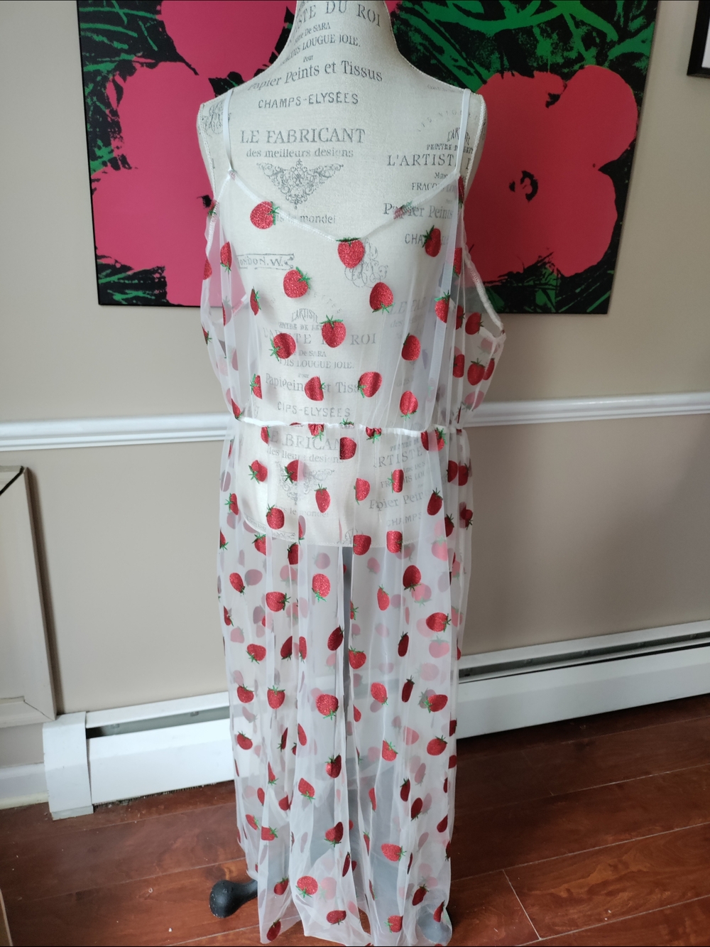 Women's Sheer Strawberry Print Maxi Slip Dress Size XL